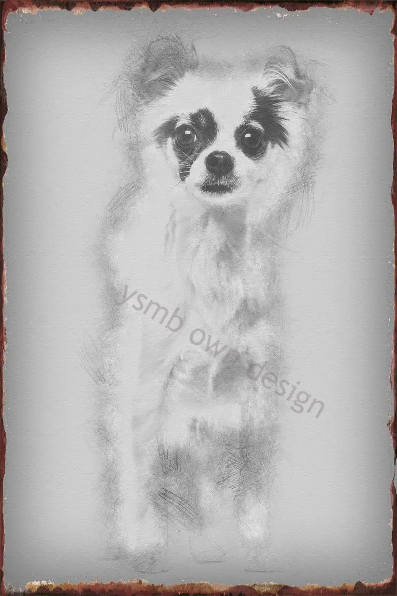 

Жестяные тарелки для чихуахуа, собака 2 года, Настенный декор, Ретро винтажный металлический знак, жестяной знак для творчества, дома, клуба, ...