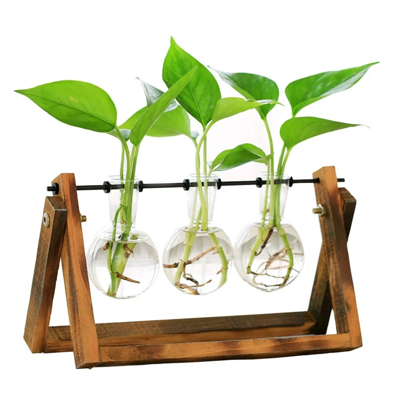 

8colors 24types Creative Hydroponic Plant Vases Vintage Flower Pot Transparent Vase Wooden Frame Glass Tabletop Plant Home Decor