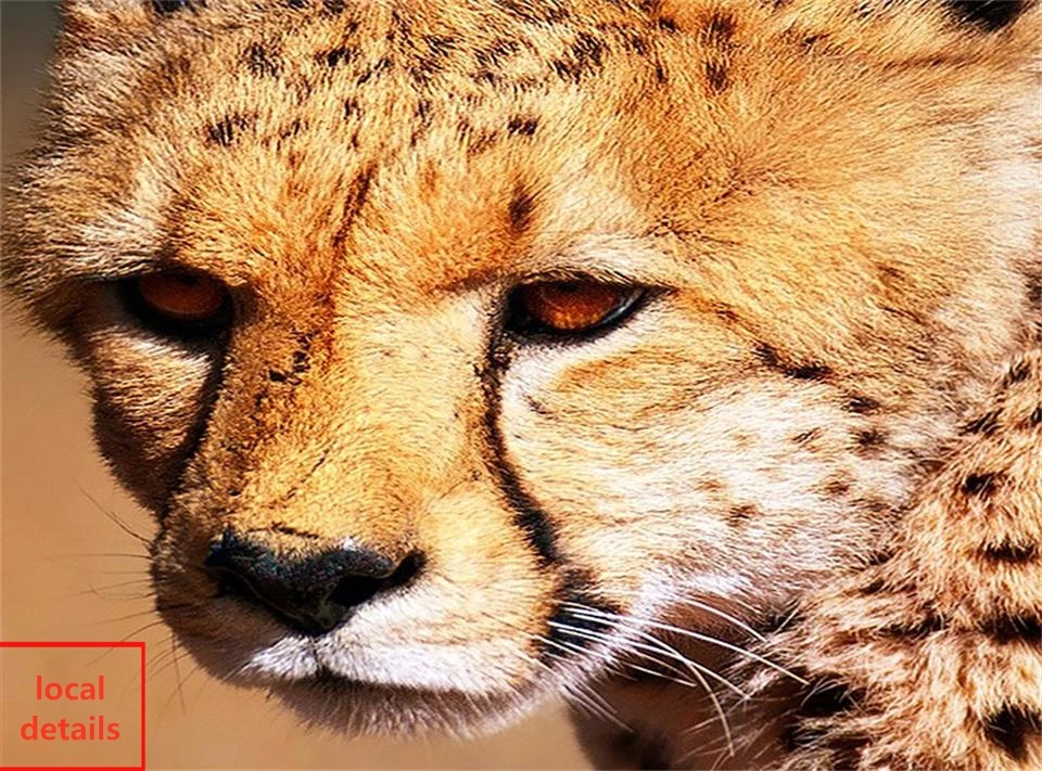 Настенные 3D-обои по индивидуальному размеру рисунок диких животных гепарда