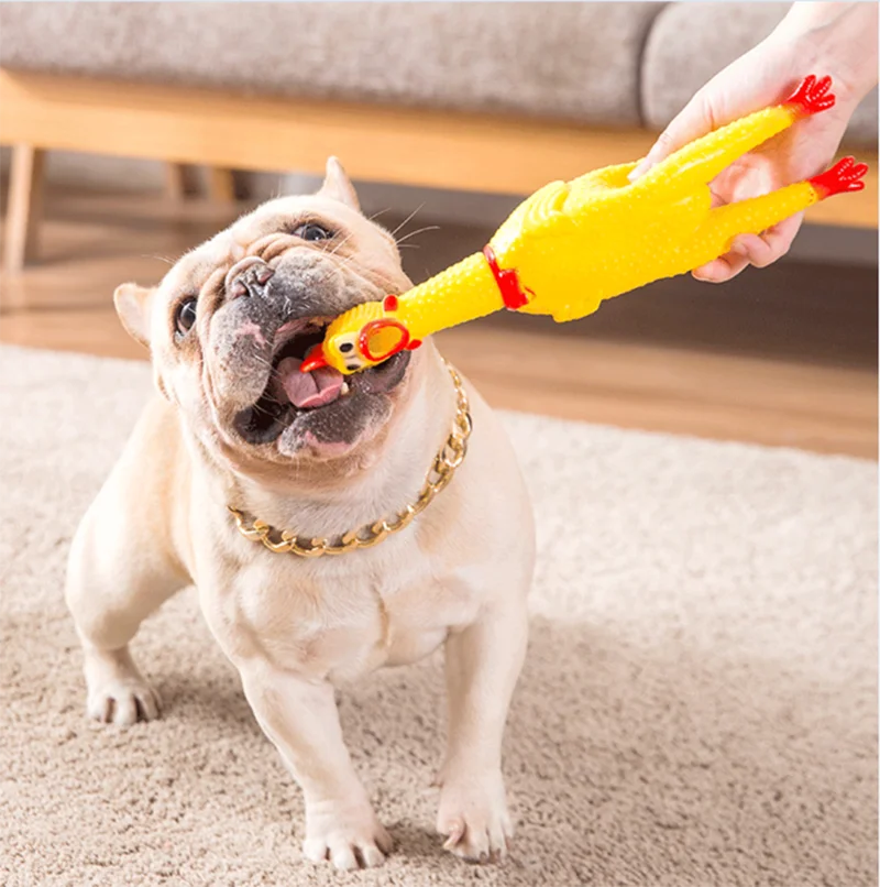 

2021 Hot Sell Snailhouse Screaming Chicken Pets Dog Toys Squeeze Squeaky Sound Funny Toy Safety Rubber For Dogs Molar Chew Toys