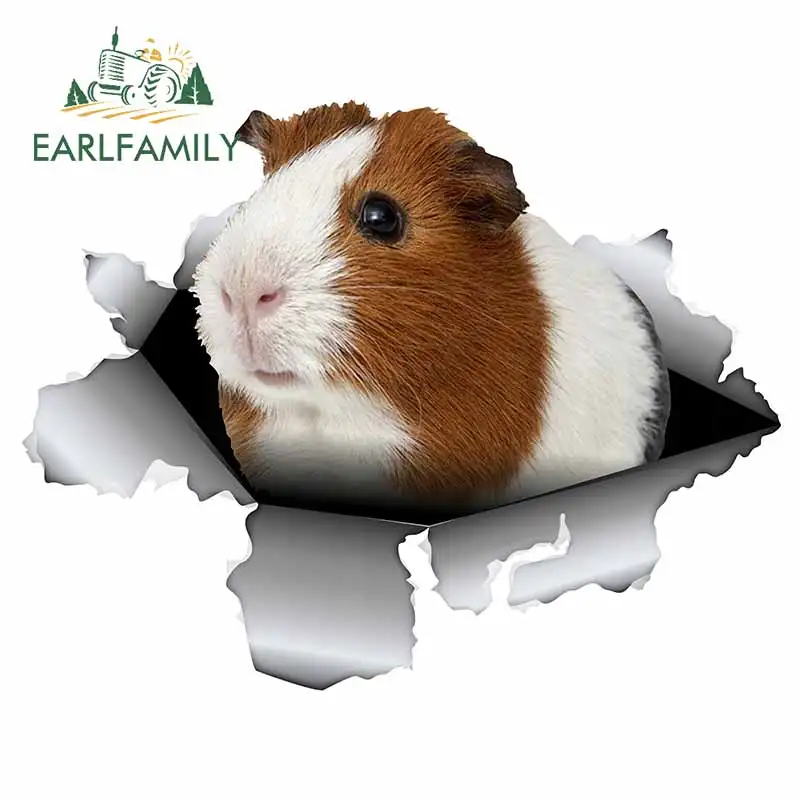 EARLFAMILY 13 см x 10 2 для хомяка разбивается на стену в багажнике фургона автомобильные