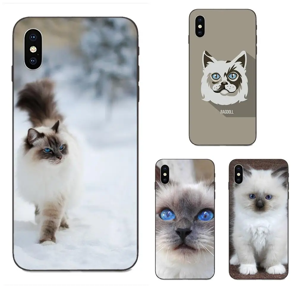 ТПУ Модный чехол для Apple iPhone 4 4S 5 5S SE 6 6S 7 8 Plus X XS Max XR Pet Ragdoll Cat Blue Eyes | Мобильные