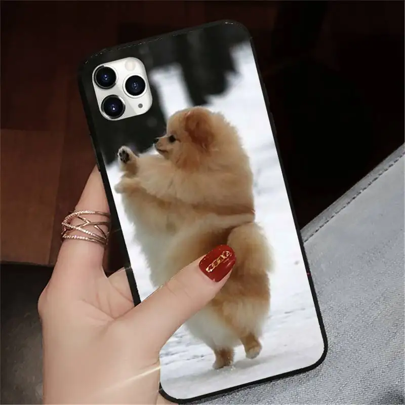 

Pomeranian dogs dog lovely animal Phone Case for iPhone 11 12 pro XS MAX 8 7 6 6S Plus X 5S SE 2020 XR