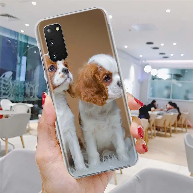 

Cocker Spaniels Dog Lovely Phone Case for Samsung Galaxy S20 FE S10 Plus S21 Ultra S10e S8 S9 Plus Hard PC Cover Bumper Funda
