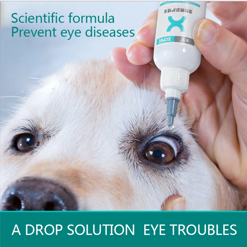 

Pet cats and dogs eye drops eye care solution for the prevention of inflammation of the eye and conjunctivitis cat eye drops