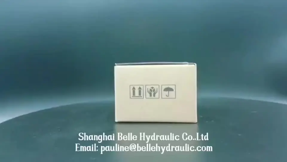 

China made PV21 gear pump with cost price