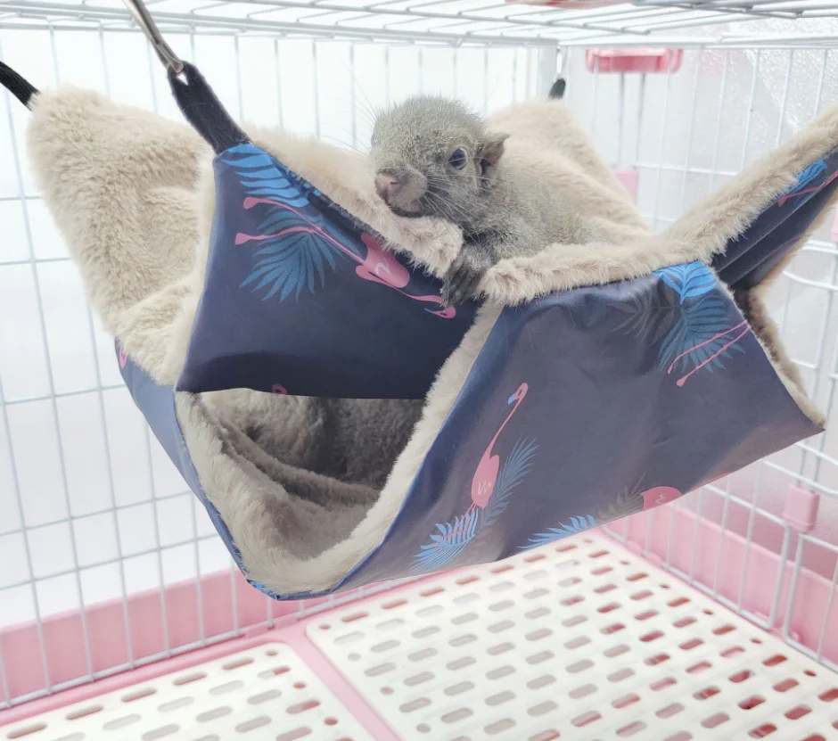 

Warm Hamster Hammock Hanging Bed House Winter Small Animal Squirrel Guinea Pig Double-layer Plush Cotton Nest Pet Supplies