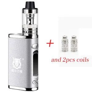 Silver and 2 coils Электронная сигарета, регулируемый vape 80 Вт, комплект модов, Встроенный 2000 мАч, батарейный блок, 3 мл, бак, электронная сигарета, большой дымовой Атомайзер - Цвет: Silver and 2 coils