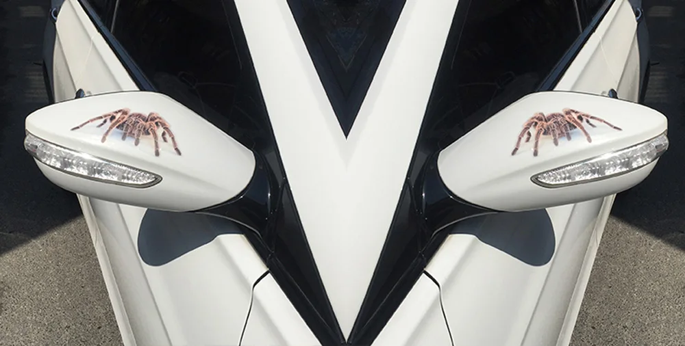 3D Автомобильная наклейка spider gecko scorpion для Mitsubishi ASX/Outlander/Lancer Evolution/Pajero/Eclipse/Grandis