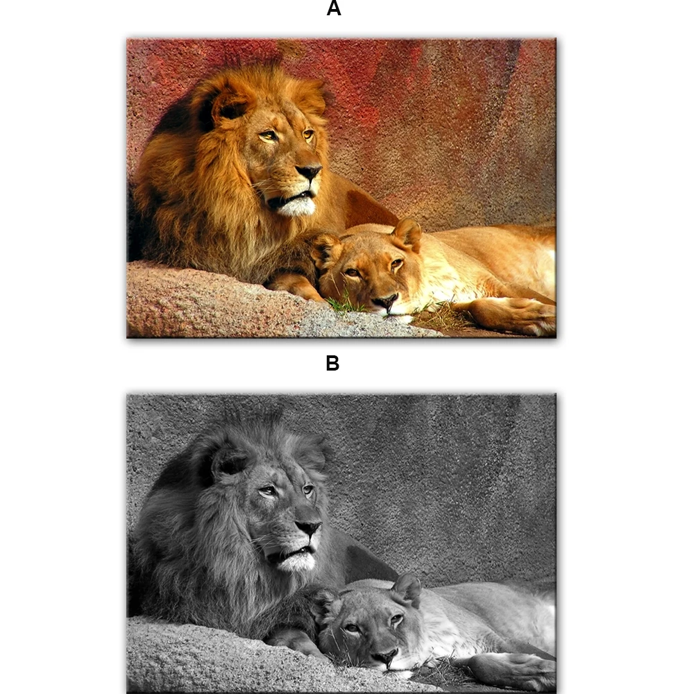 

Modern Lion Canvas Paintings on The Wall Posters and Prints Animals Wall Art Pictues Cuadros Wall for Living Room Decoration