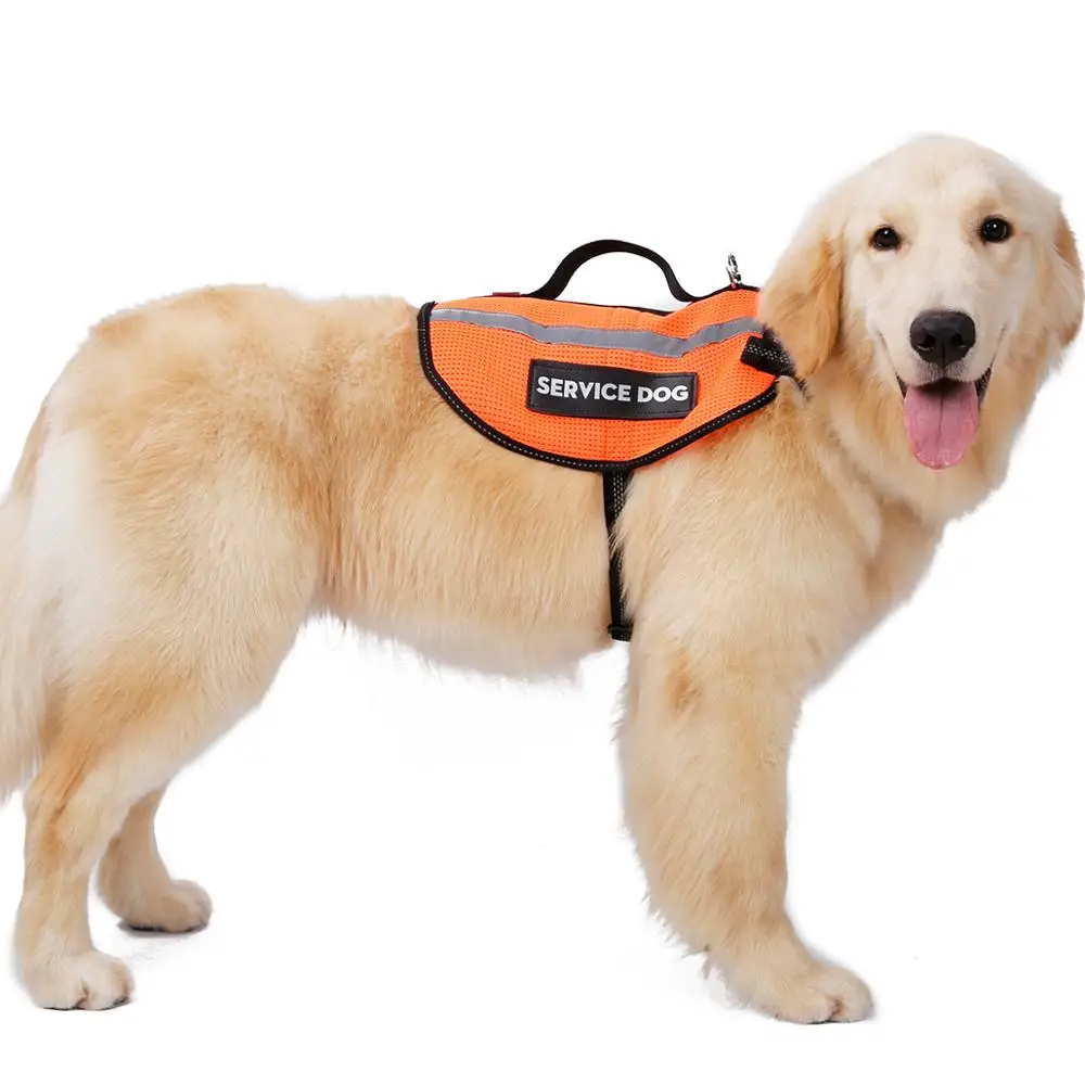 Шлейка для собак светоотражающая шлейка собаки аксессуары жилет Mediano | Дом и сад