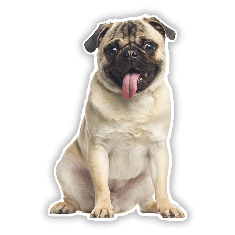 B0689 # самоклеящаяся наклейка Pug Dog V2 автомобильная водонепроницаемые