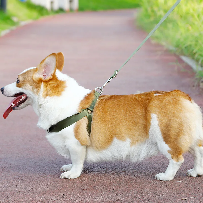 Товары для домашних животных набор поводков собак толстые нейлоновые тканые
