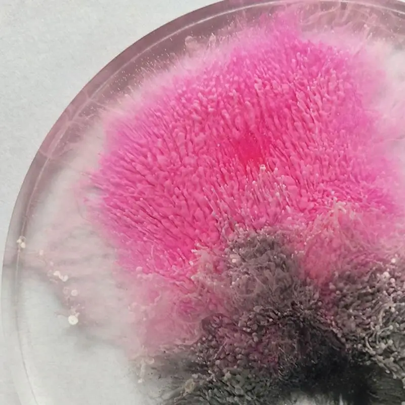 Художественные чернила натуральный пигмент краситель краска диффузия чернил УФ