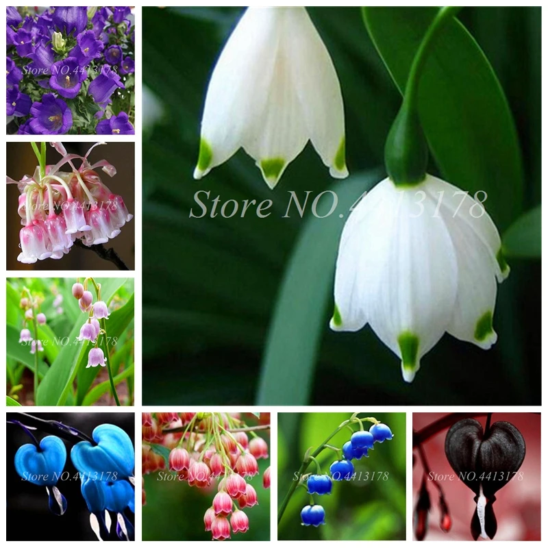 100 шт редкий колокольчик Орхидея Декор искусственные кашпо| |