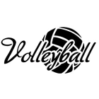 Стильная Спортивная Автомобильная наклейка для волейбола, Аксессуары для автомобилей и мотоциклов, внешние Светоотражающие виниловые наклейки, 17 см * 8 см