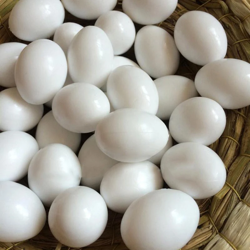 

10x White Solid Plastic Eggs Dummy Fake Eggs For Racing Pigeons Hot Sales