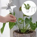 Горшок для полива комнатных растений, автоматическое устройство для самополива мелких птиц, садовые инструменты и оборудование для полива растений