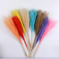natural whisk dried flowers reed pampa secas navidad pampas grass party decoration wedding bouquet d%c3%a9co artificielles christmas