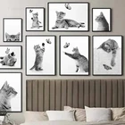 Плакаты и принты в скандинавском стиле с черно-белыми животными, кошками, бабочками, забавная Картина на холсте, Настенная картина для декора гостиной