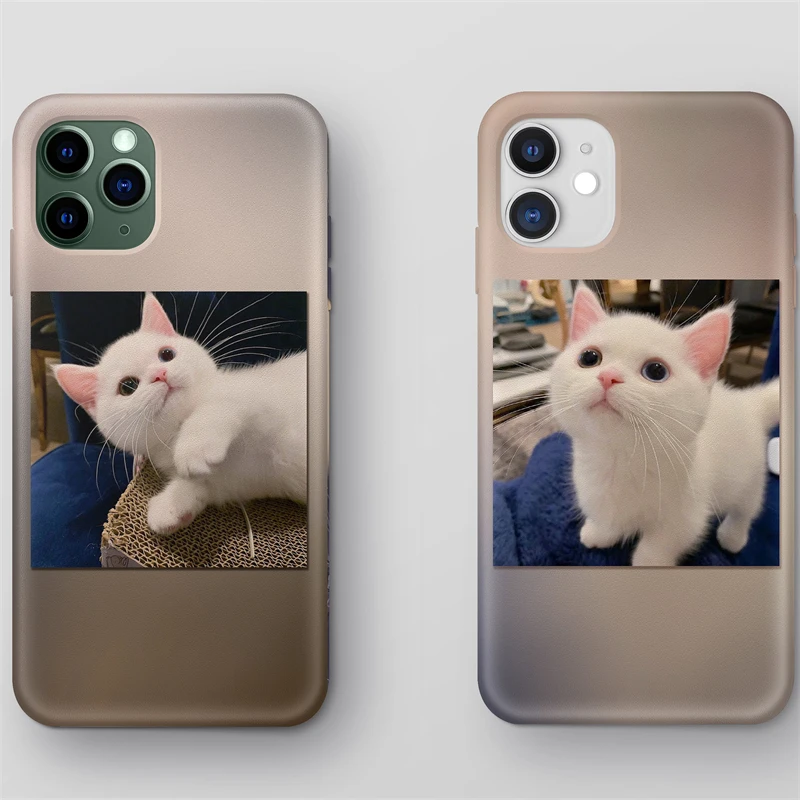 

Cats For iPhone 11 Pro Max 12 Pro Mini XS Max XR X 7 8 6 6S Plus SE 2021 Cute Animal Fundas Shell Fashion Back Cover Cats