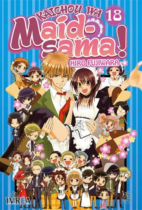 24 стиля на выбор Kaichou Wa Maid sama аниме художественный принт Шелковый постер домашний