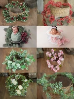2021 baby newborn photography prop green plants basket stuffer accessorie berry daisy rattan strip vine studio shooting flowers