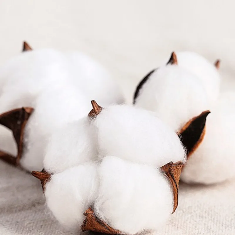 Одноразовое женское/Мужское гигиеническое нижнее белье послеродовые хлопковые