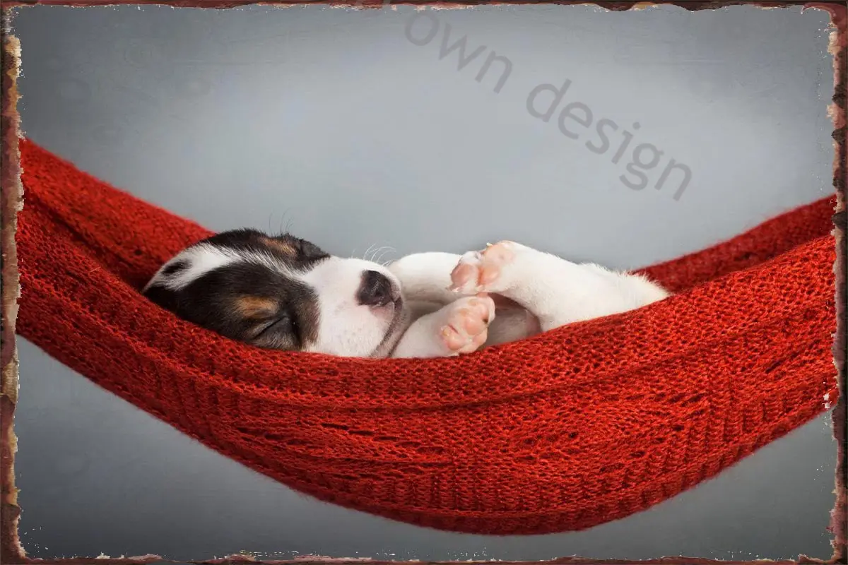 

Винтажный металлический знак Beagle Собака Щенок Животное Жестяная Табличка Оловянная табличка Декор на стену ретро для дома клуба мужская пе...