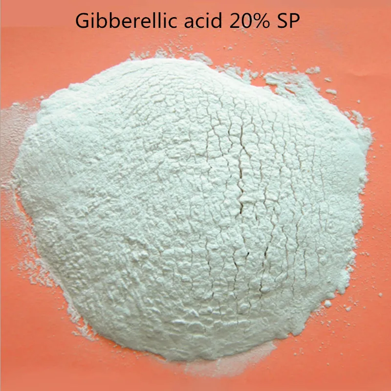 

Free shipping GA3 20% SP Gibberellin 20% SP GA3 water soluble Gibberellic acid 20% SP Plant Food 20 gram with low price