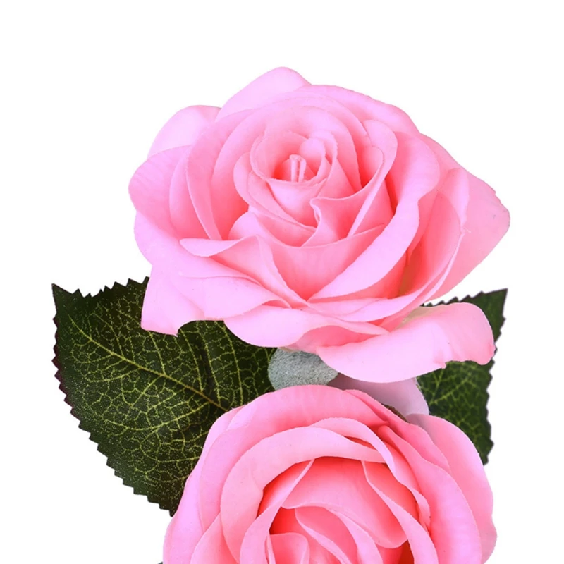 

Rose Flower in Glass Dome with LED String Lights Gift for Birthday Wedding Valentine's Day Anniversary