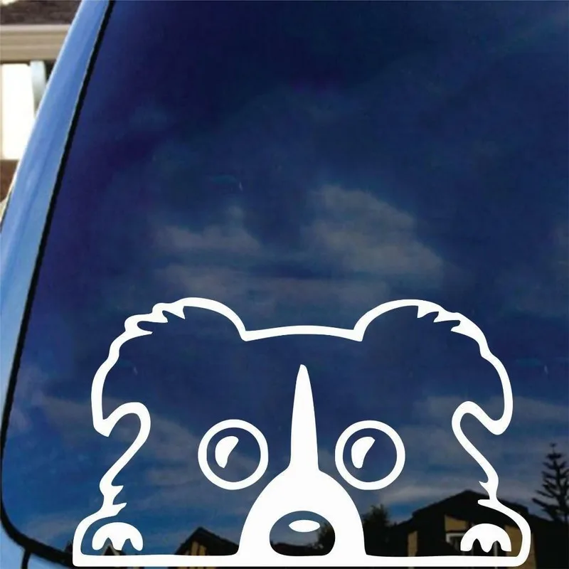 6 &quotWide Boarder Collie Peeking Out Window Виниловая наклейка для автомобиля собак домашних