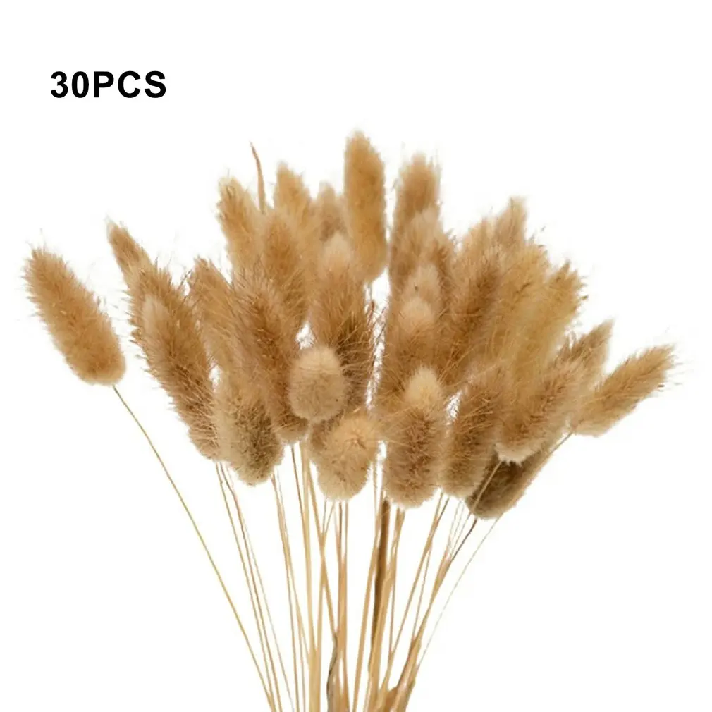 

30 Pcs Fashional Rabbit Tail Flower Natural Plants And Flowers Herbal Home Decoration Props Photography Props