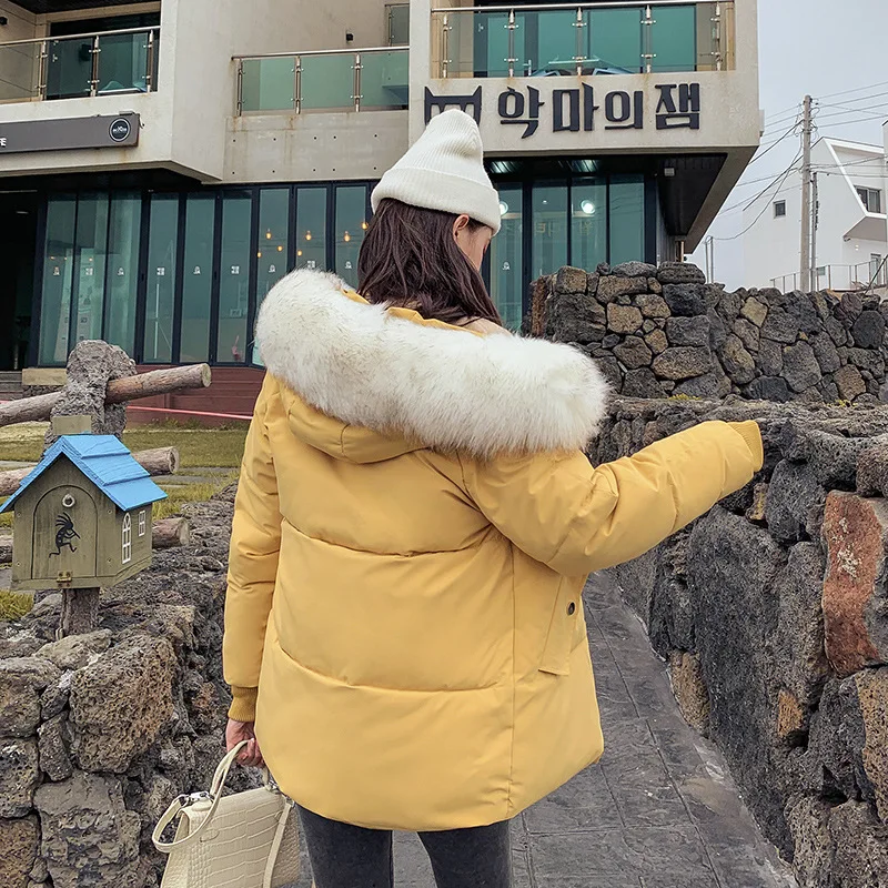 Зимняя куртка тонкое зимнее пальто Дамская пуховая парка женская зимняя 2019 новая