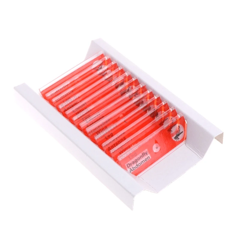 Прямая поставка 48 шт. образцы искусственных животных насекомых цветов образец |