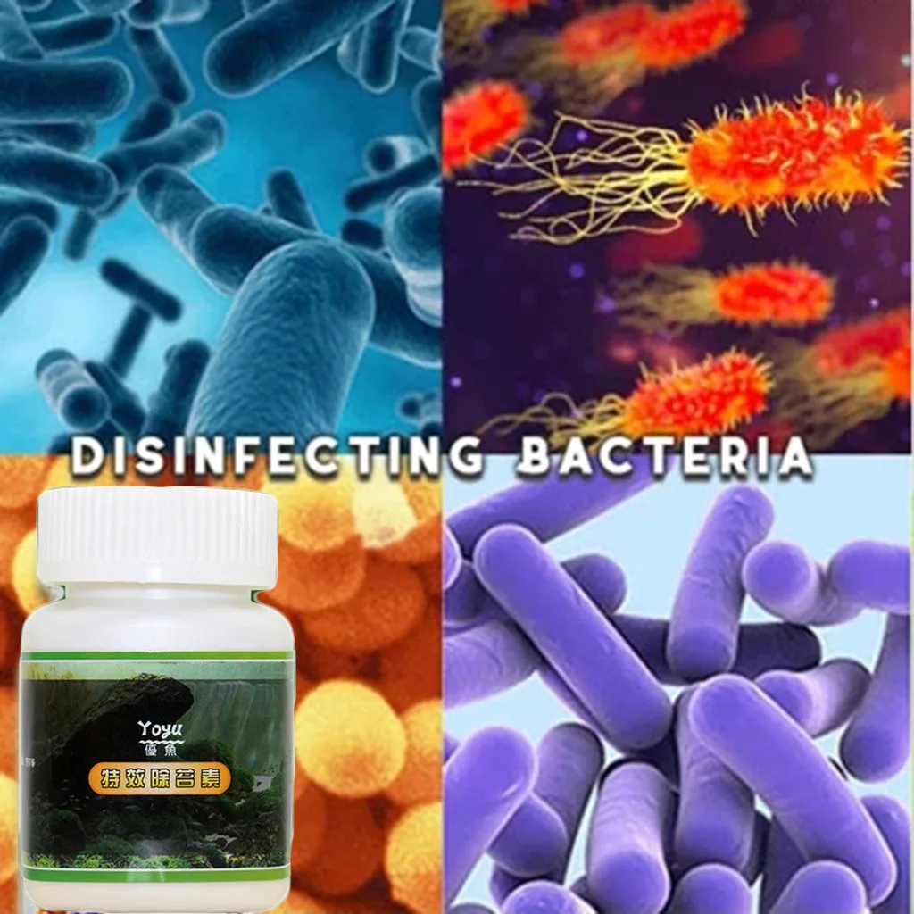 High Capacity Aquarium Algaecide Aquatic Algae Control Algae Detergent Purification Water Hot Selling Support Wholesale