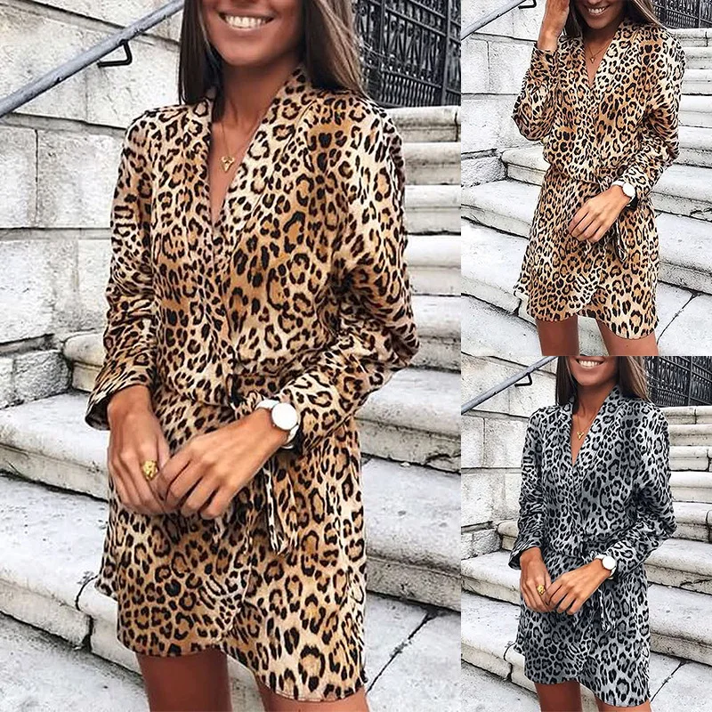 

Women's 2021 New Leopard Print Long Sleeve V-neck Dress Elegant Fashion Office Lady Dress