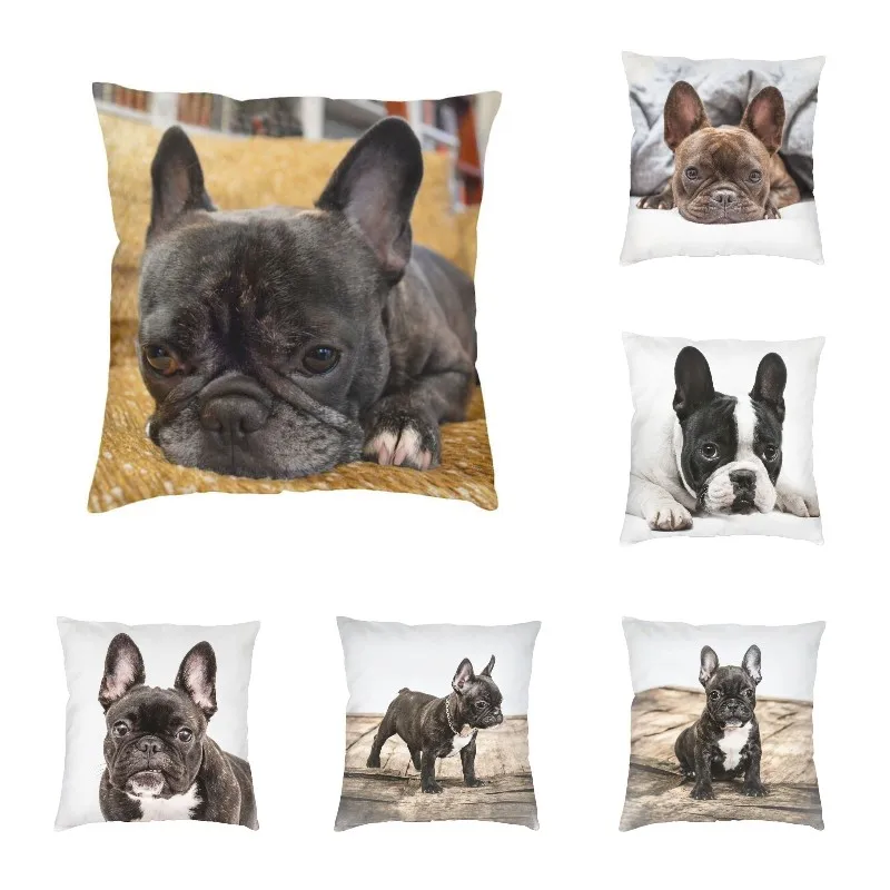 

Подушка в современном стиле для гостиной с изображением французского бульлога