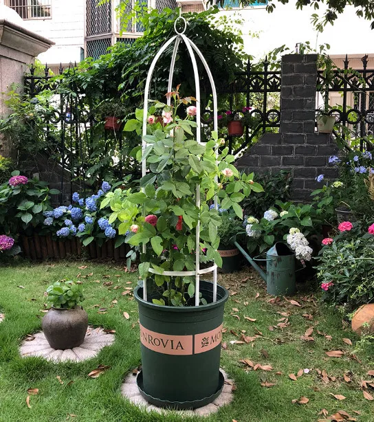 Садовая жизнь арка цветочная рама колонна виноградная сад опора для растений