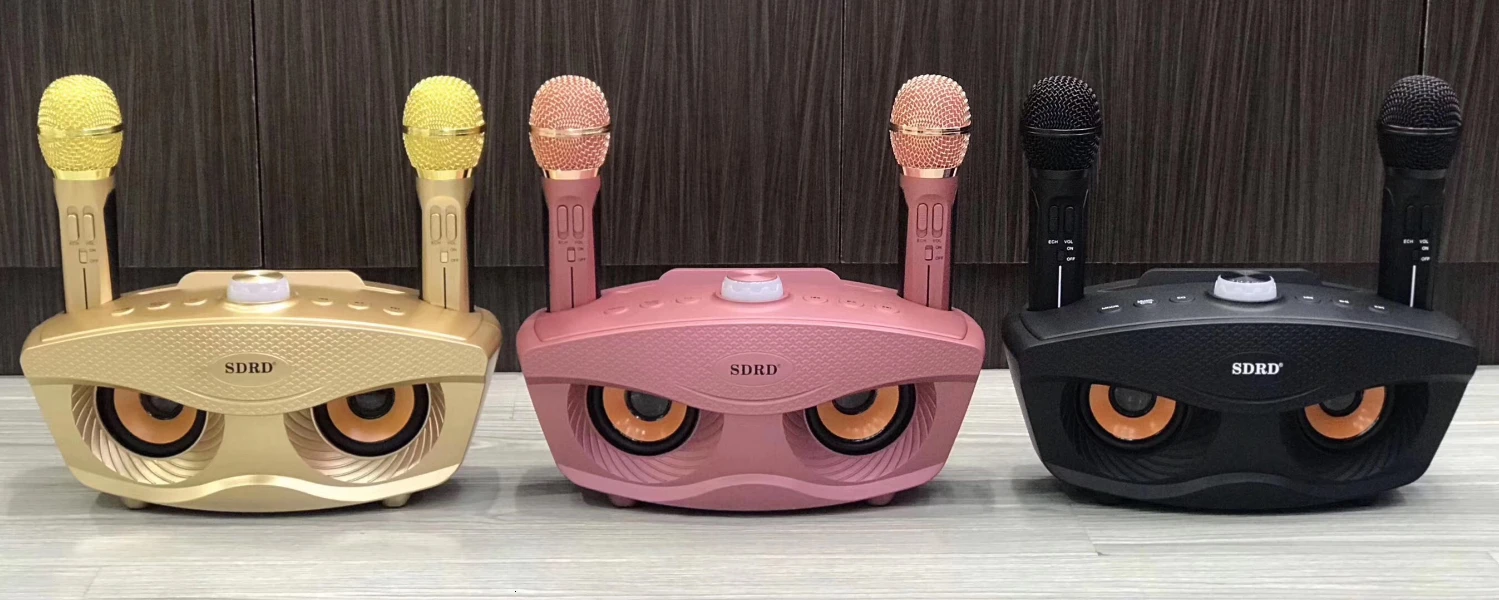 SD306 двойной Bluetooth динамик с 2 беспроводными микрофонами Открытый Семейный KTV стерео микрофон большой звук 20 Вт SDRD Sd 306 набор динамиков