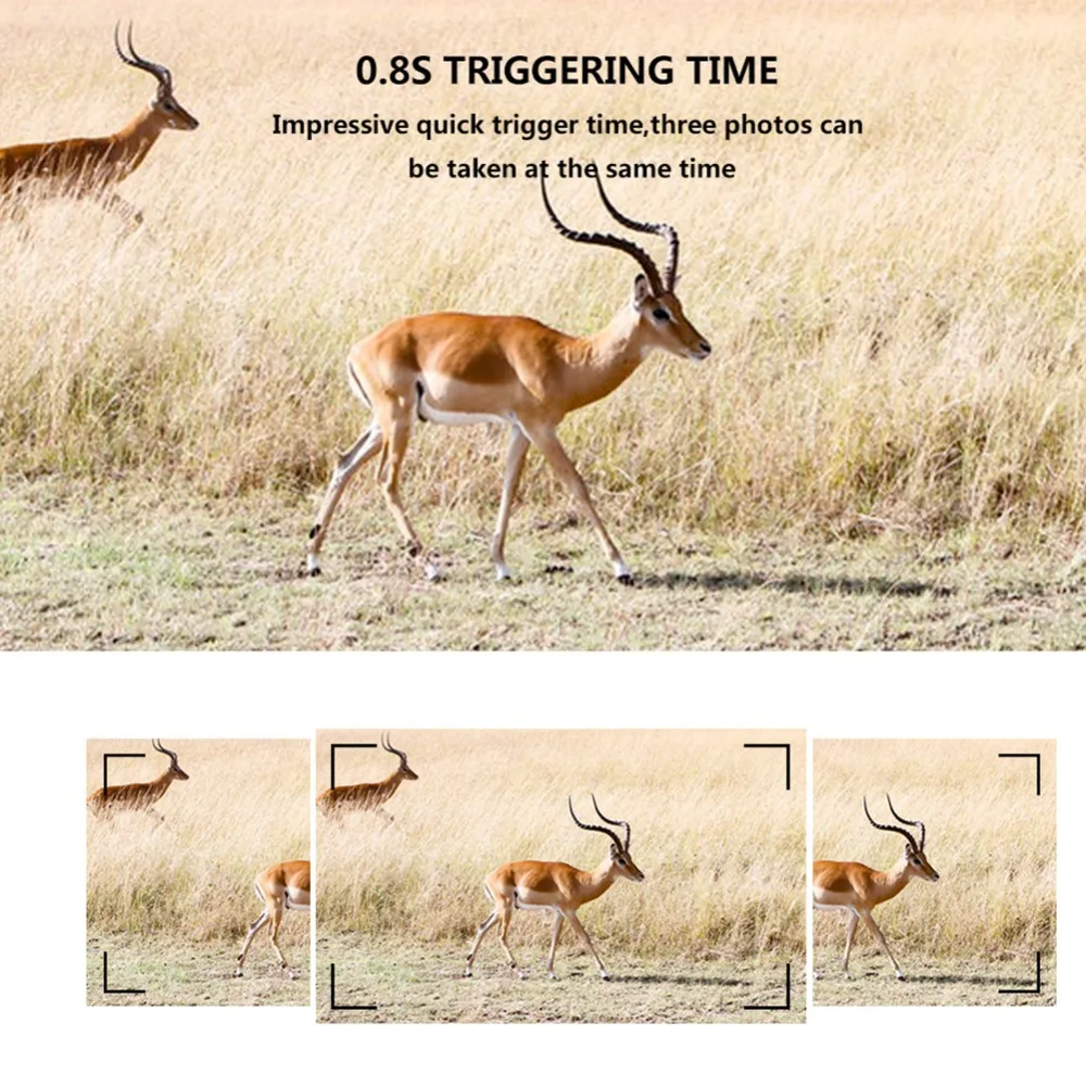 Suntekam Hunting Trail Camera PR-200 12MP 940nm IR LED Hunter Wildlife Camera IP56 Waterproof scout fotoaparat camara chasse
