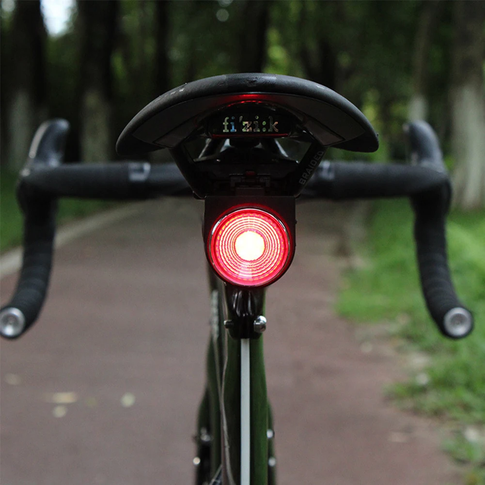 

Bicycle Smart Taillight Burglar-alarm Light Anti-theft Rear Light Brake Sensing Cycling Taillight Flashlight w/ Remote Control