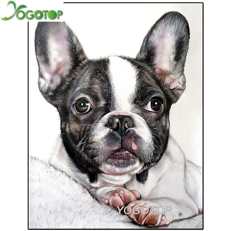 

5D Full drill , diamond painting pet dog DIY diamond embroidery Bulldog Cross Stitch Rhinestone Mosaic Decoration Gift YY1757