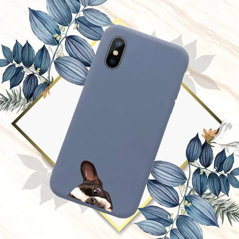 

Pug Dog French Bulldog Phone Case Candy Color for iPhone 11 12 pro XS MAX 8 7 6 6S Plus X 5S SE 2020 XR