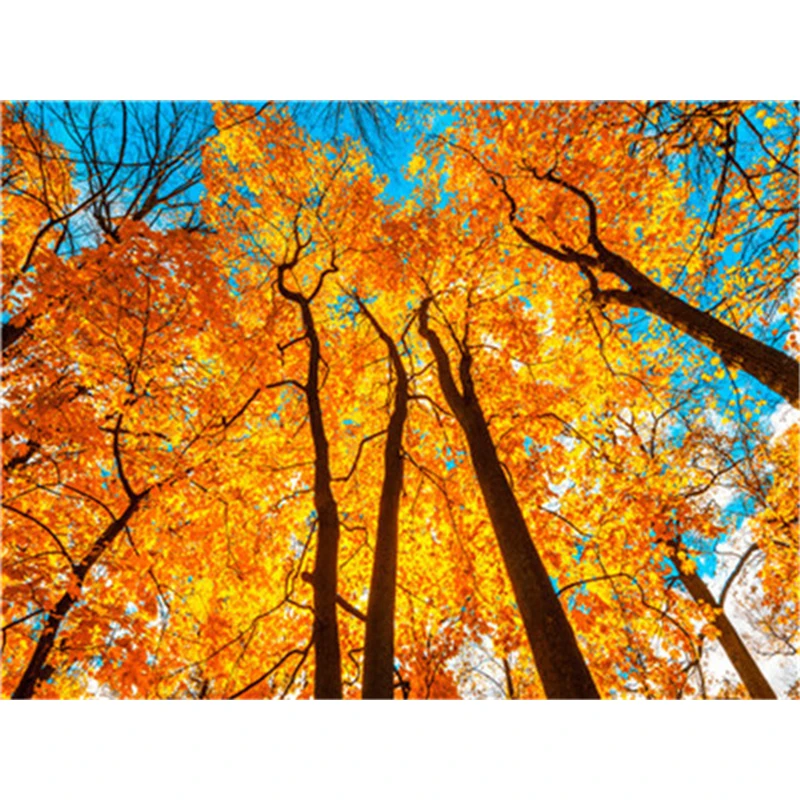 Framed DIY Painting By Numbers Landscape Acrylic Modern Picture Home Decor For Living Room | Дом и сад