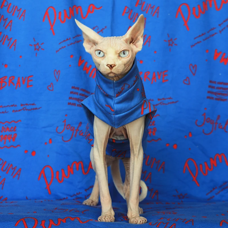 

leisure high quality Sphinx Canada hairless cat cotton brand vest spring autumn cat clothing sweater pet supplies cat shirt