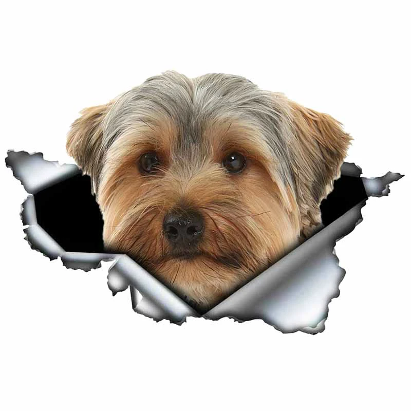 

S40472# Various Sizes PVC Decal Yorkshire Terrier Dog Car Sticker Waterproof on Bumper Rear Window Laptop