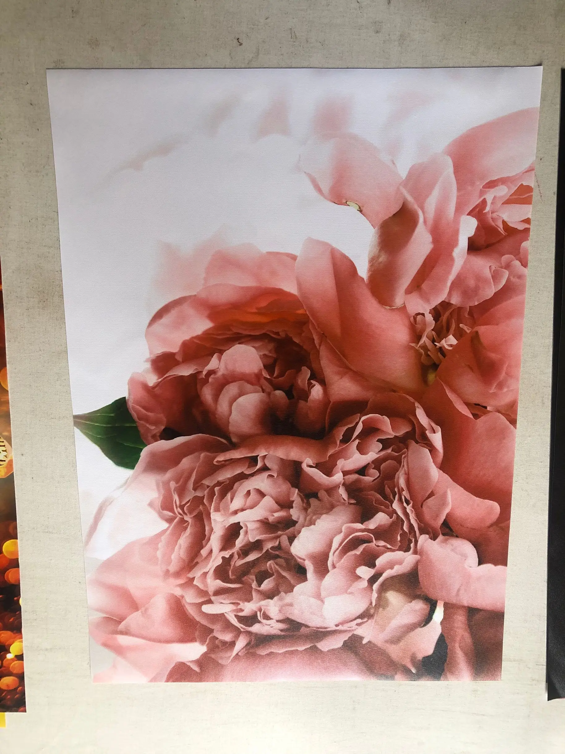 Настенный абстрактный плакат в стиле бохо светло-розового цвета с изображением