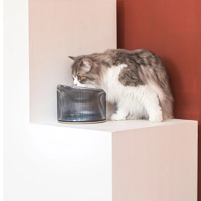 2 шт. Роскошная миска для кошек Хрустальная утолщенная стеклянная и собак