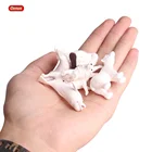 Oenux 6 шт Мини Arctic Животные КИТ полярный медведь 